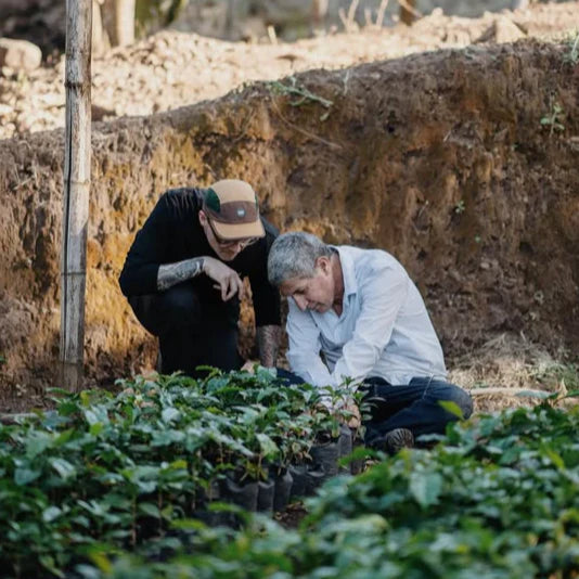 Clifton Coffee - E1 Project Espresso - BrewMaster's Elite