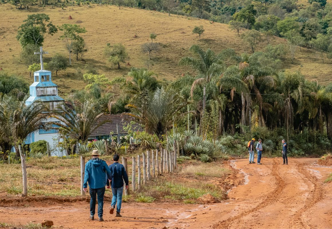 Extract Coffee - Rocket