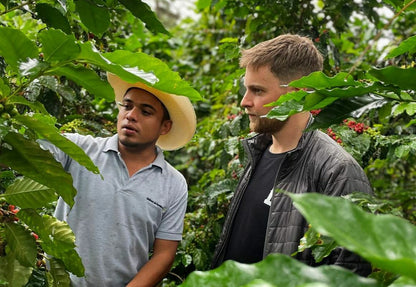 Extract Coffee - Rocket