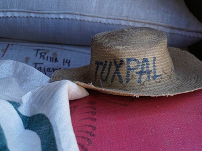 Extract Coffee - Original